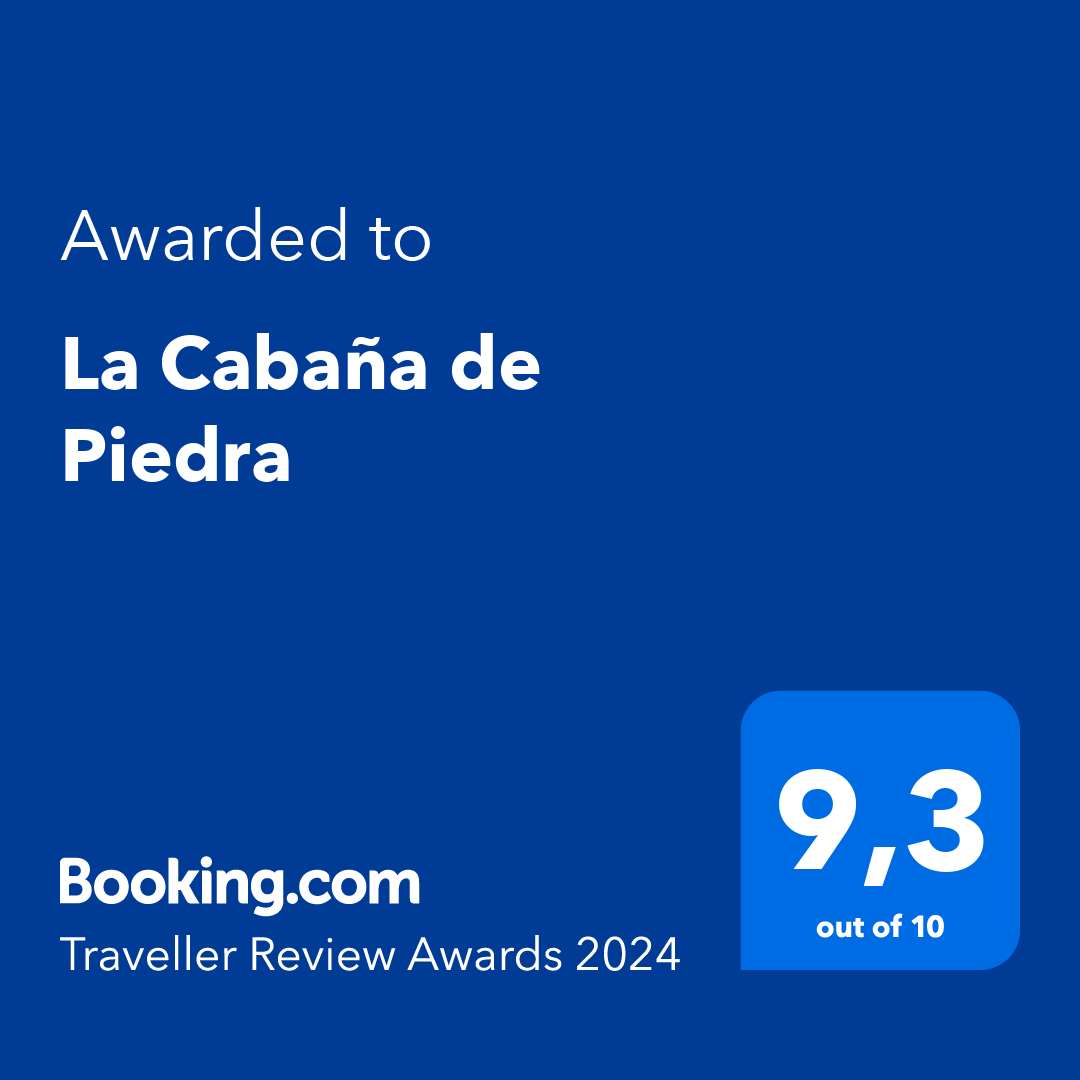booking 2024 traveller review award 2024